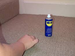 uses for wd 40 that are completely