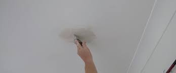 If it had been painted would this not have been a problem? How To Get Rid Of Mould On Ceilings Repaint Pro
