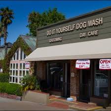Helena and even for that do i love you the more. Solana Beach Do It Yourself Dog Wash Closed 34 Reviews Pet Groomers 112 W Plaza St Solana Beach Ca Phone Number