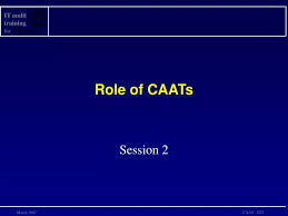 ppt role of caats powerpoint