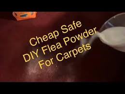 flea powder for carpets homemade fast