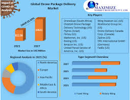 drone package delivery market global