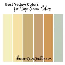 9 sage green color palettes 2023