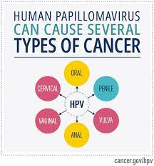 How Many Hpv Infections Cause Cancer gambar png