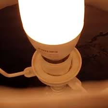 Hue Bulbs Buzzing Why It Happens And