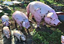 Metal Pink Pigs Farm Animals Swine Lawn