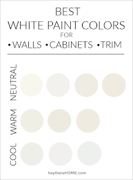 White Paint Color