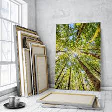 Art Trees Wall Decor Prints Forest
