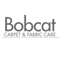 bobcat carpet fabric care project