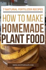homemade plant food 7 easy natural