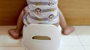 Many parents are unsure about when to start toilet teaching or potty training.. Potty Training Learning To The Use The Toilet Zero To Three