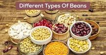 What are the four types of beans?