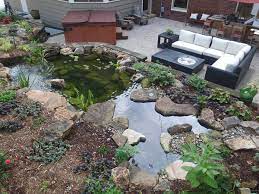How To Build A Backyard Koi Pond You
