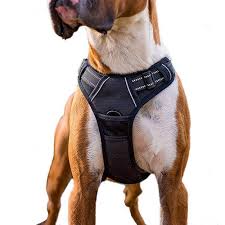 Top 10 Service Dog In Training Vest Big Dog Sport