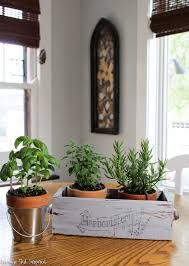 Diy Indoor Herb Garden Planter Box