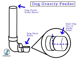 Looking for a great automatic pet feeder or food dispenser? 3 Diy Pvc Dog Feeders Patchpuppy Com