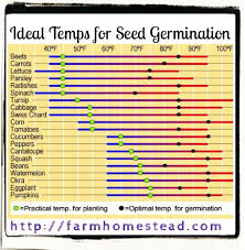 Ideal Temperatures For Seed Germination Farm Homestead