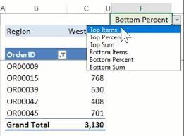 excel pivot table filters top 10