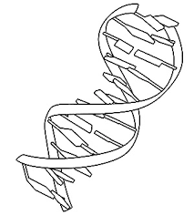 Worksheets are dna, activity a 3 synthetic biology coloring, asqteacher 200714 1753 2, work. Pdb 101 Learn Coloring Books Coloring Molecular Machinery