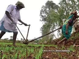 Maharashtra Government Maharashtra Farmers To Get
