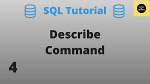 describe command sql basics tutorial