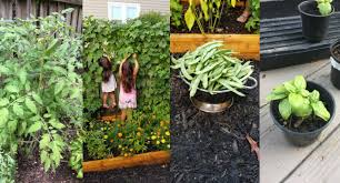 Dig In Creating A Garden With Kids