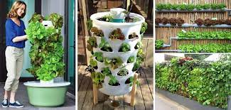 20 Vertical Vegetable Garden Ideas