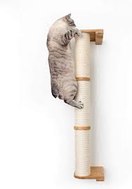 the 13 best cat scratching posts