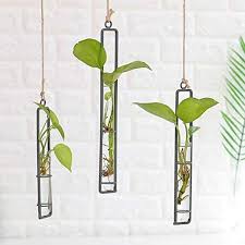 hanging vase for wall glass planter
