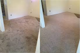 cleaned extremely dirty carpet