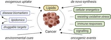 lipids and cancer emerging roles in