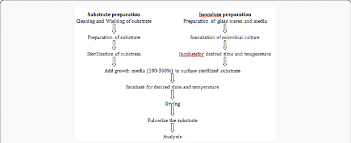 Flow Chart Of Fermentation Process Download Scientific Diagram