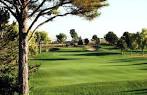 Championship Golf Course At University of New Mexico in ...