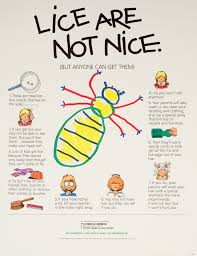 no nits tips for handling head lice
