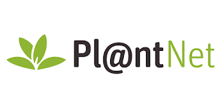 Leafsnap, plant lens, picture this and pl@ntnet. Plantnet Plant Identification Apps On Google Play
