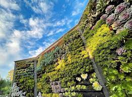 best plants for vertical gardens