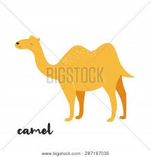 Embed this art into your website: Cute Orange Camel On Vector Photo Free Trial Bigstock