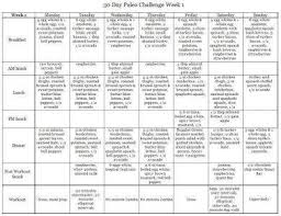 30 day t plan 12 exles format