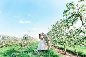 The kuipers family farm is a family farm located in maple park, illinois. Kuipers Family Farm Reception Venues The Knot