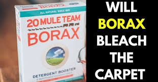 will borax bleach carpet how to get