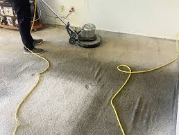 carpet cleaning in wrightwood ca