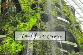 cloud forest review at garden by the
