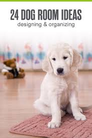 Designing Organizing A Dog Room