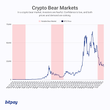 bear vs bull markets a guide for