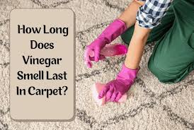 does vinegar smell last in carpet