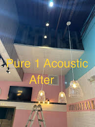 acoustic ceiling tile installers