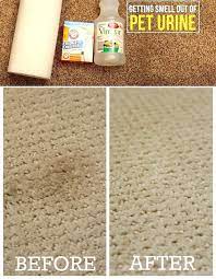 cleaning carpet with vinegar and baking