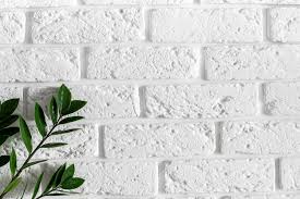 Green Plant Branch On White Brick Wall