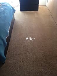 carpet cleaning carpet cleaning union