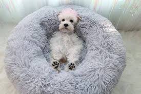 The pupnaps calming dog bed is an incredible new dog bed that has gone viral in australia and is now finally avaliable in the uk. Pawstastic Anti Anxiety Calming Dog Donut Bed
